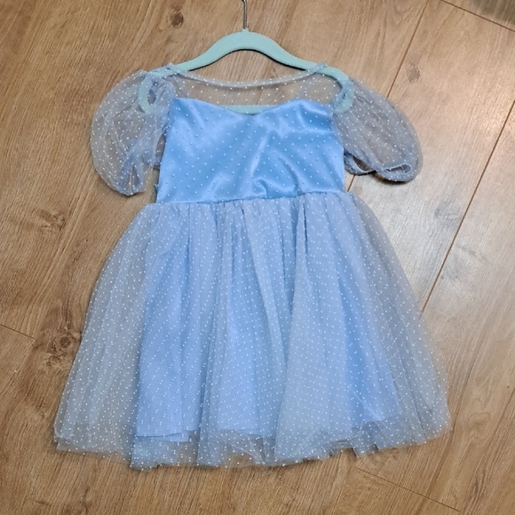 Blue Princess Cinderella Dress - Picture 1 of 3